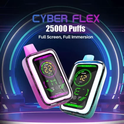 VABEEN CYBER FLEX 25K DISPOSABLE - Black Current Slashy / 20MG