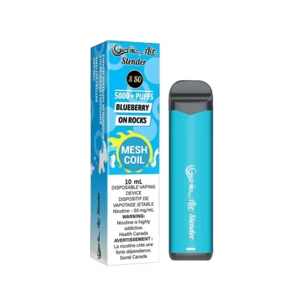 GENIE AIR SLENDER 5000 – BLUEBERRY ON ROCKS