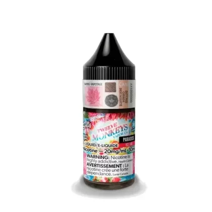 TWELVE MONKEYS ICE SALT 30 ML – PARADISE