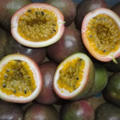Passion Fruit Vapour Days Flavour E-Liquid - Vapourdays Co