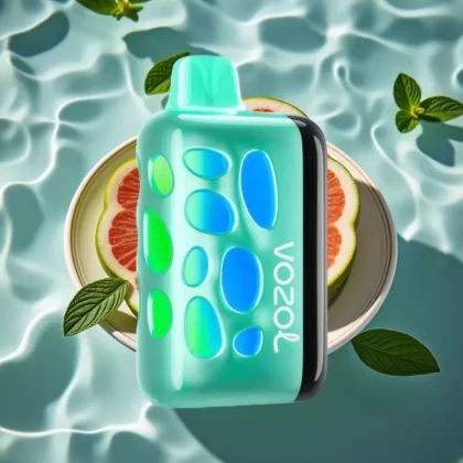 VOZOL RAVE 40000 Disposable Vape Cool Mint – 270° Glow Design, Beat-Synced Party Mode, 1000mAh Battery - Bangvapeaustralia