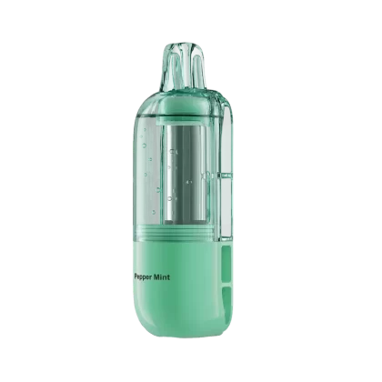 Nexa Flex 40K Pod Pepper Mint Disposable Vape – Visible Edition (2 Pods)