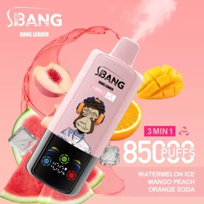 Bang Leader 85K | 3-in-1 triple option, 85000 puffs, 70ml, bulk disposable vape - Aiviouvapes
