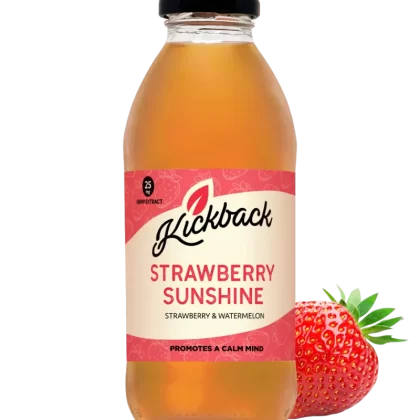 Kickback 25mg Beverage - Blueberry, Lemon