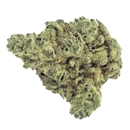 MBR Doja Sour Glue