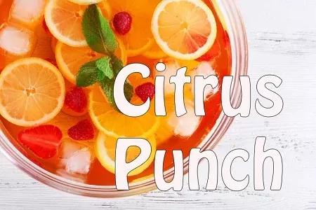 Citrus Punch Premium E-Liquid