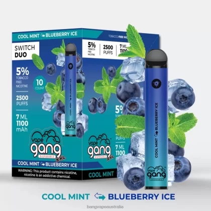 Vape Gang Switch Duo 2 flavors (Box of 10) 6006N43 Cool Mint – Blueberry Ice – Vape Gang Disposables - Bangvapeaustralia