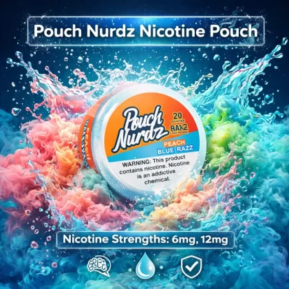 Pouch Nurdz Nicotine Pouch - Wintergreen / 6mg