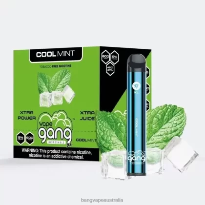 Vape Gang XL Disposable Vapes 600 puffs (Box of 10) 6006N79 Cool Mint – Vape Gang Flavors - Bangvapeaustralia