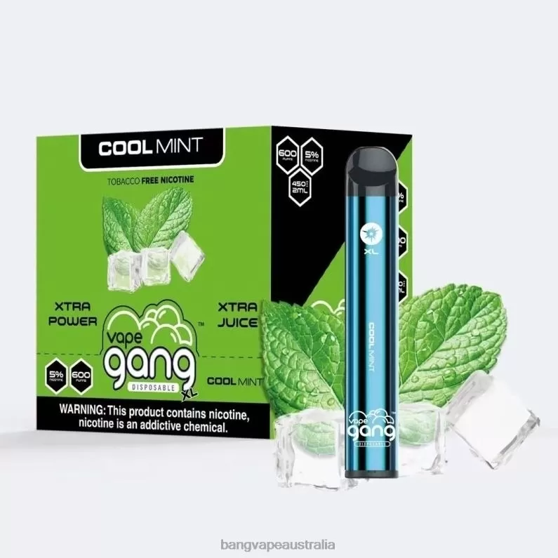 Vape Gang XL Disposable Vapes 600 puffs (Box of 10) 6006N79 Cool Mint – Vape Gang Flavors - Bangvapeaustralia