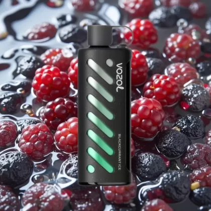 VOZOL Gear Shisha 25000 Puffs Disposable Vape Blackcurrant Ice – Dual Mesh, S.i.L.C Tech, 5mg/ml - Bangvapeaustralia
