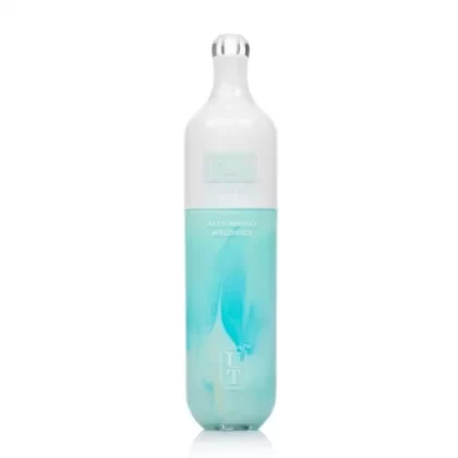 Flum Float Aloe Mango Melon Ice - Ejuicewarehouse