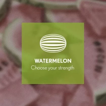 Watermelon By Blast E-Liquid 10ml