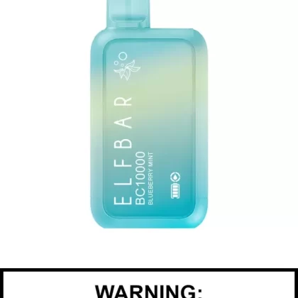 Blueberry Mint by Elf Bar BC10000 Disposable Vape