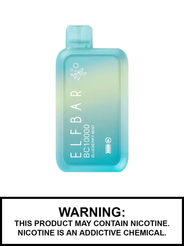 Blueberry Mint by Elf Bar BC10000 Disposable Vape