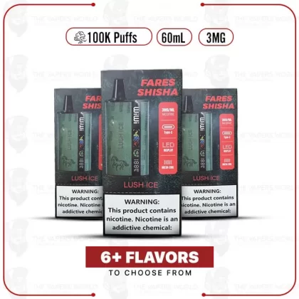 WiWi Fares Shisha 100K Puffs Disposable Vape – 3MG - Black Ice, Blueberry Gum