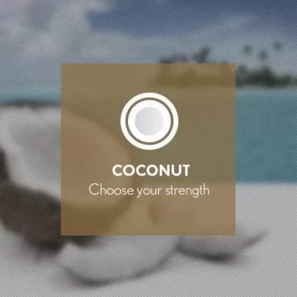 Coconut By Blast E-Liquid 10ml - Nicotine Free