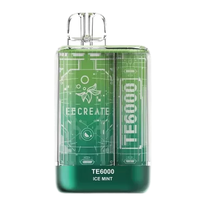 Ice Mint EB TE6000 - VAP; Vape Product; 5 Pack, Single