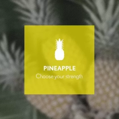 Pineapple By Blast E-Liquid 10ml - 12mg