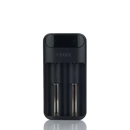 Efest LUSH Q2 2-Bay Charger - Vapejuice