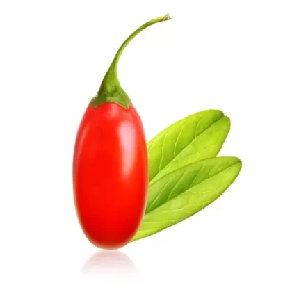 Goji Berry E-Liquid