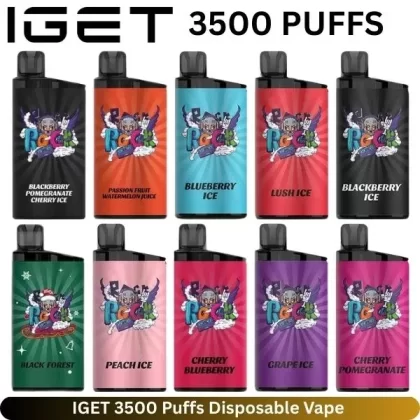 IGET 3500 Puffs Disposable Vape