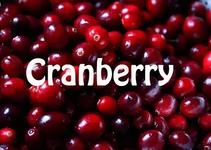 Cranberry Premium E-Liquid