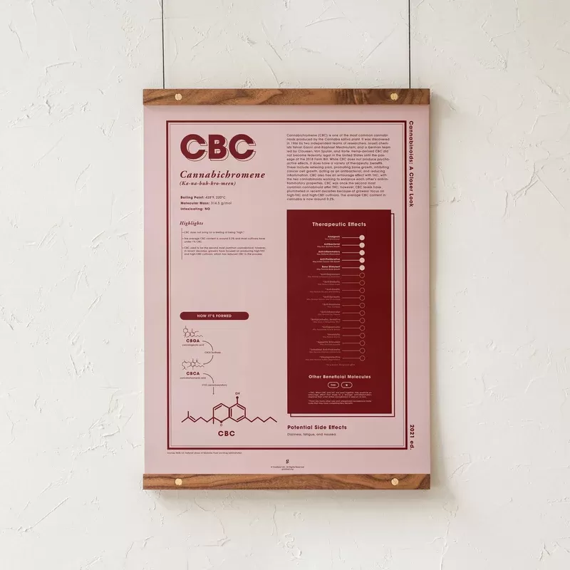 GoldLeaf CBC: A Closer Look Print