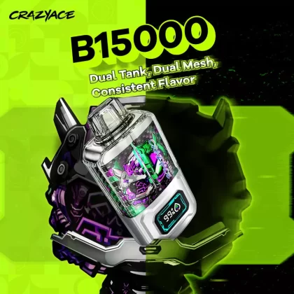 CRAZYACE B15000 Disposable Device – 15000 Puffs - Fresh Mint