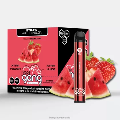 Vape Gang XL Disposable Vapes 600 puffs (Box of 10) 6006N74 Straw Watermelon – Bang Vape Australia - Bangvapeaustralia
