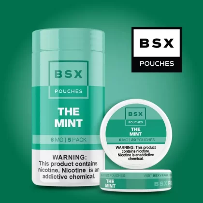 The Mint – Nic Pouches