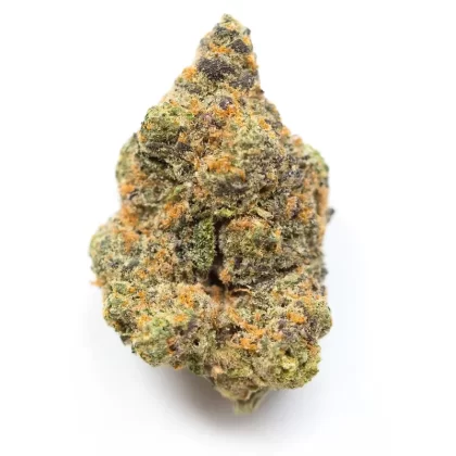 Sunset Dreamz(Hybrid)
