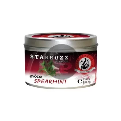 StarBuzz Exotic Spearmint Hookah Shisha 100g - Vape Store