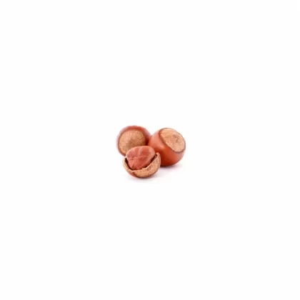 Hazelnut TFA Nutty Blending Flavor - Bangvapeaustralia
