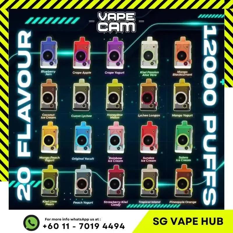 VAPECAM 12,000 Puffs - Starter Kit (Battery + Cartridge) / Guava Lychee - Image 2