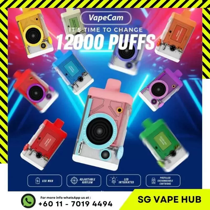 VAPECAM 12,000 Puffs - Starter Kit (Battery + Cartridge) / Guava Lychee - Image 3