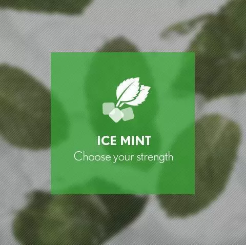 Ice Mint By Blast E-Liquid 10ml - Nicotine Free