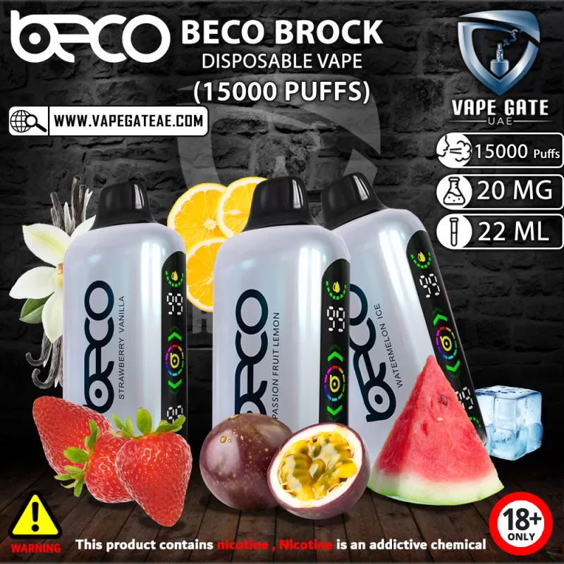 BECO BROCK DISPOSABLE VAPE (15000 PUFFS) - 20 mg / Summer Dream