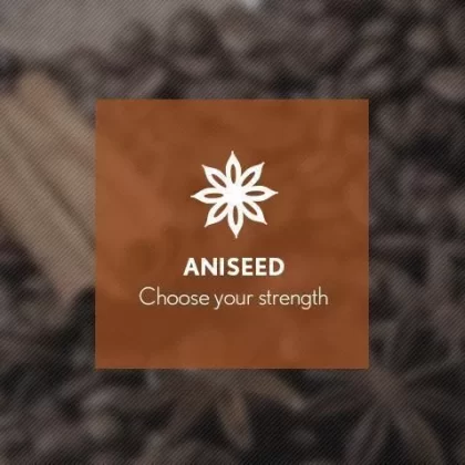 Aniseed By Blast E-Liquid 10ml - Nicotine Free