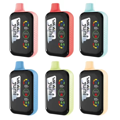 YUMI & VAAL Mega 20000 Puffs Rechargeable Disposable Kit 650mAh - Frozen Mixed Berry Ice / 50mg / CN-SZ