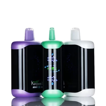 Kangvape Heaven X 40K 40000 Puffs Disposable Vape - 20mL - Breezy Mint