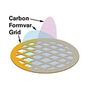 Formvar stabilized with Silicon Monoxide