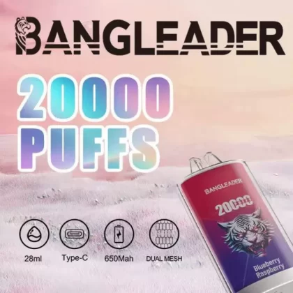 Bang Leader 20000 20K Puffs Newest Product Disposable Vape - Vapeq10