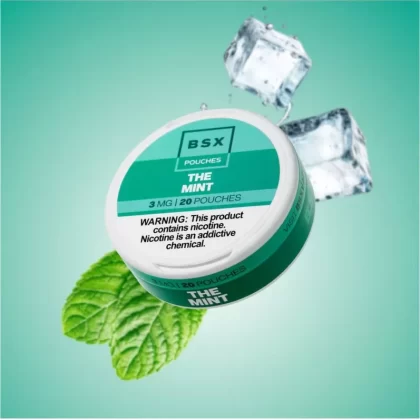 The Mint Nic Pouch Bundle