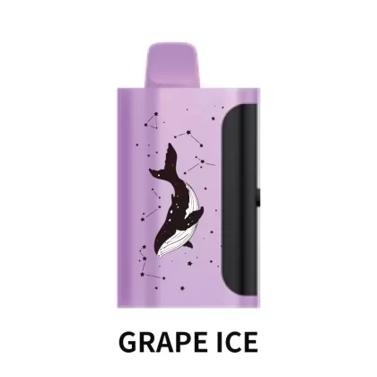 PICCO STAR 40000 Puffs – Grape Ice - Vape Store