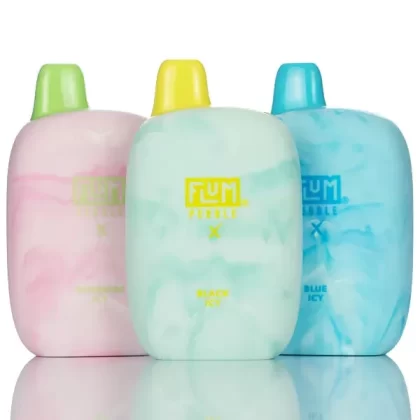 Flum Pebble X 6000 Puffs Disposable Vape - 14ML - Black Icy