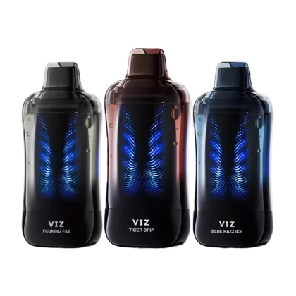 Lost Mary VIZ 55K Disposable Vape - Baja Splash, Blue Razz Ice (12AD8A)