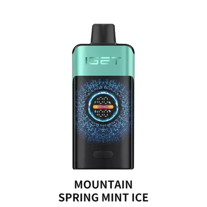 IGET ONE 12000 Puffs – Mountain Spring Mint Ice - Vape Store