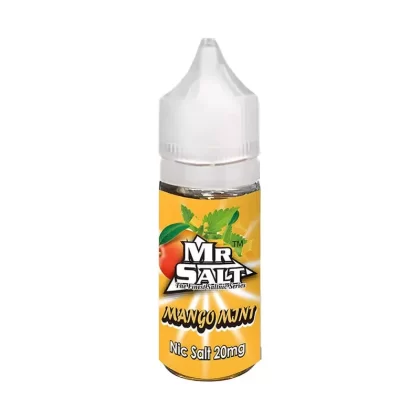 Mr Salt saltnic Mango Mint Vape Juice - 10 Pack - 10mg