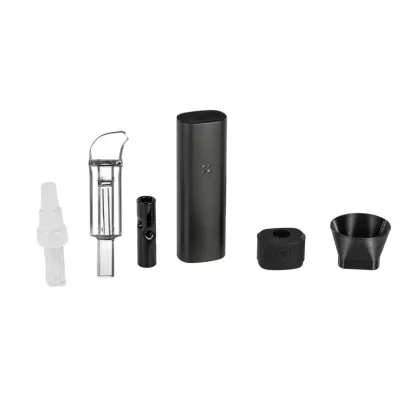PAX Mini Essentials Kit - Onyx, Platinum Silver